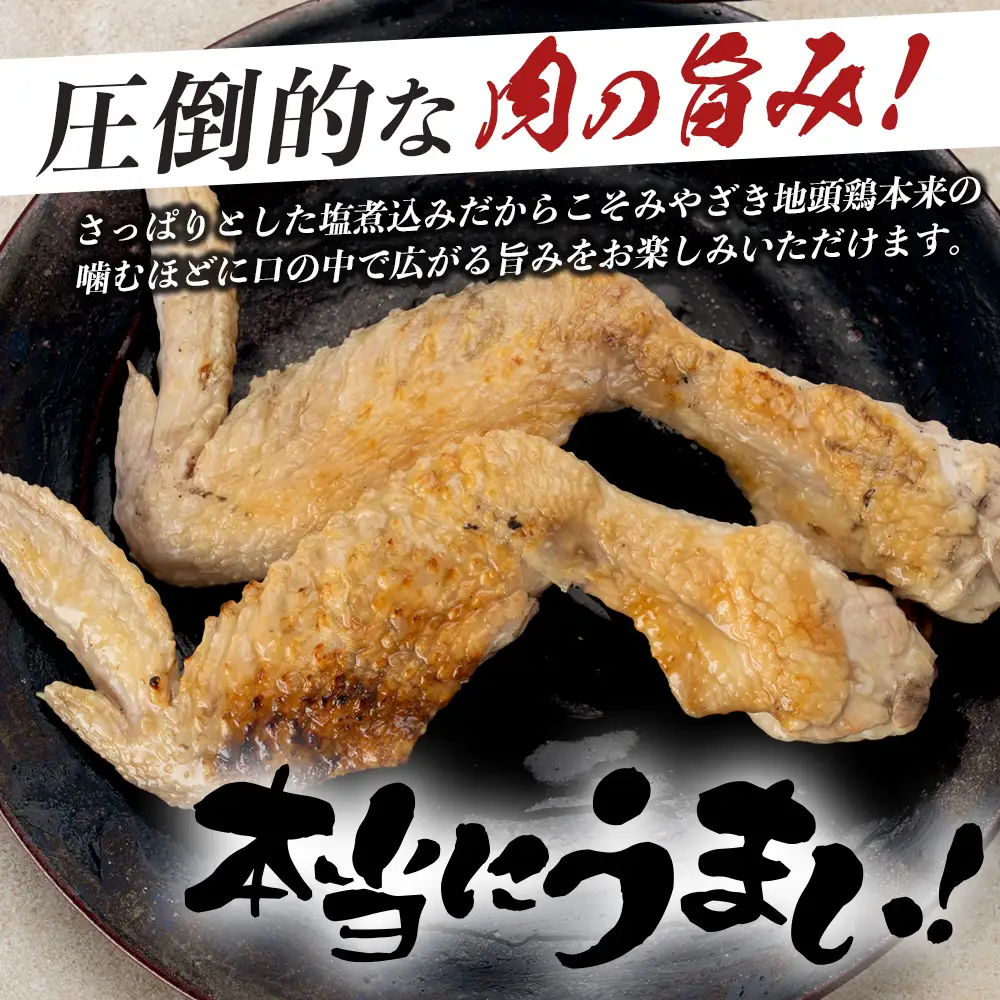 みやざき地頭鶏 大手羽の塩煮込み 1羽分×2P 常温｜鶏肉 地鶏 炭火焼 備長炭 塩煮込み 晩酌 おかず 惣菜 大手羽 コラーゲン 郷土料理 じとっこ 興洋開発株式会社 宮崎県 諸塚村 KY-20