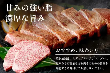 宮崎牛 ロース ステーキ 約500g（2枚入）×1P 冷凍｜国産 牛肉 4等級以上 黒毛和牛 肉 お肉 ブランド牛 鉄板焼き 高級 株式会社ミヤチク 宮崎県 諸塚村 MY-01