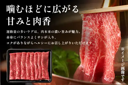 宮崎牛 ウデ スライス 約500g×1P すき焼き しゃぶしゃぶ 冷凍｜国産 牛肉 4等級以上 黒毛和牛 肉 お肉 ブランド牛 高級 株式会社ミヤチク 宮崎県 諸塚村 MY-03