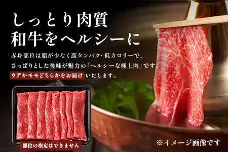 宮崎牛 赤身 スライス 約500g×1P［ウデまたはモモをお届け］すき焼き しゃぶしゃぶ 冷凍｜国産 牛肉 4等級以上 黒毛和牛 肉 お肉 ブランド牛 高級 株式会社ミヤチク 宮崎県 諸塚村 MY-07