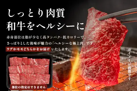 宮崎牛 赤身 焼肉用 約500g×1P［ウデまたはモモをお届け］焼肉 冷凍｜国産 牛肉 4等級以上 黒毛和牛 肉 お肉 ブランド牛 高級 株式会社ミヤチク 宮崎県 諸塚村 MY-08
