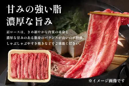 宮崎牛 赤身・霜降り スライス セット計1kg（約500g×2P）［ウデまたはモモをお届け］冷凍｜国産 牛肉 4等級以上 黒毛和牛 肉 お肉 ブランド牛 高級 株式会社ミヤチク 宮崎県 諸塚村 MY-09
