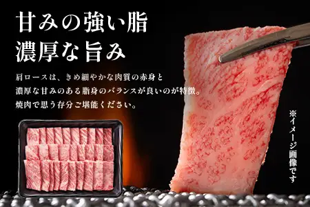 宮崎牛 赤身・霜降り 焼肉セット約500g×2P 計1kg［ウデまたはモモをお届け］焼肉 冷凍｜国産 牛肉 4等級以上 黒毛和牛 肉 お肉 ブランド牛 高級 株式会社ミヤチク 宮崎県 諸塚村 MY-10