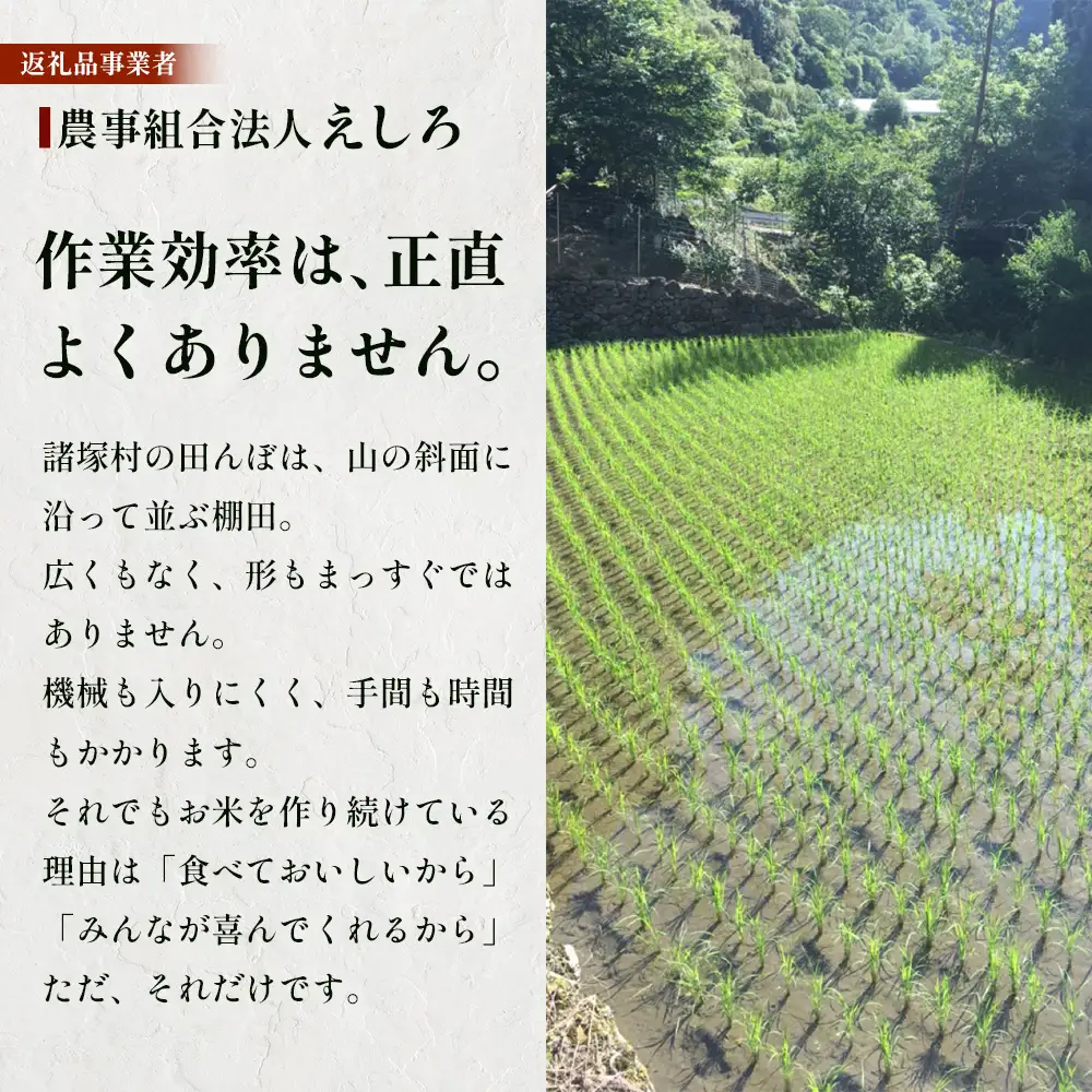 【先行予約】令和8年産 新米 ヒノヒカリ 5kg【2026年11月より順次発送】｜白米 米 棚田米 精米 ご飯 白ご飯 農事組合法人えしろ 宮崎県 諸塚村 ES-01
