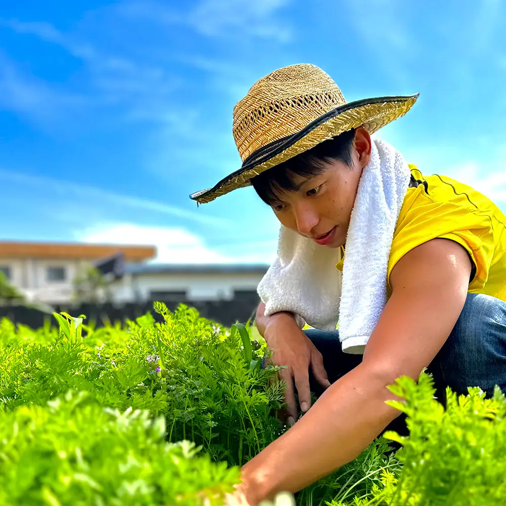 つかさ農園 季節のお野菜詰め合わせ（6～8種） ※北海道・沖縄・離島への配送不可 ※2026年6月中旬～9月下旬頃に順次発送予定