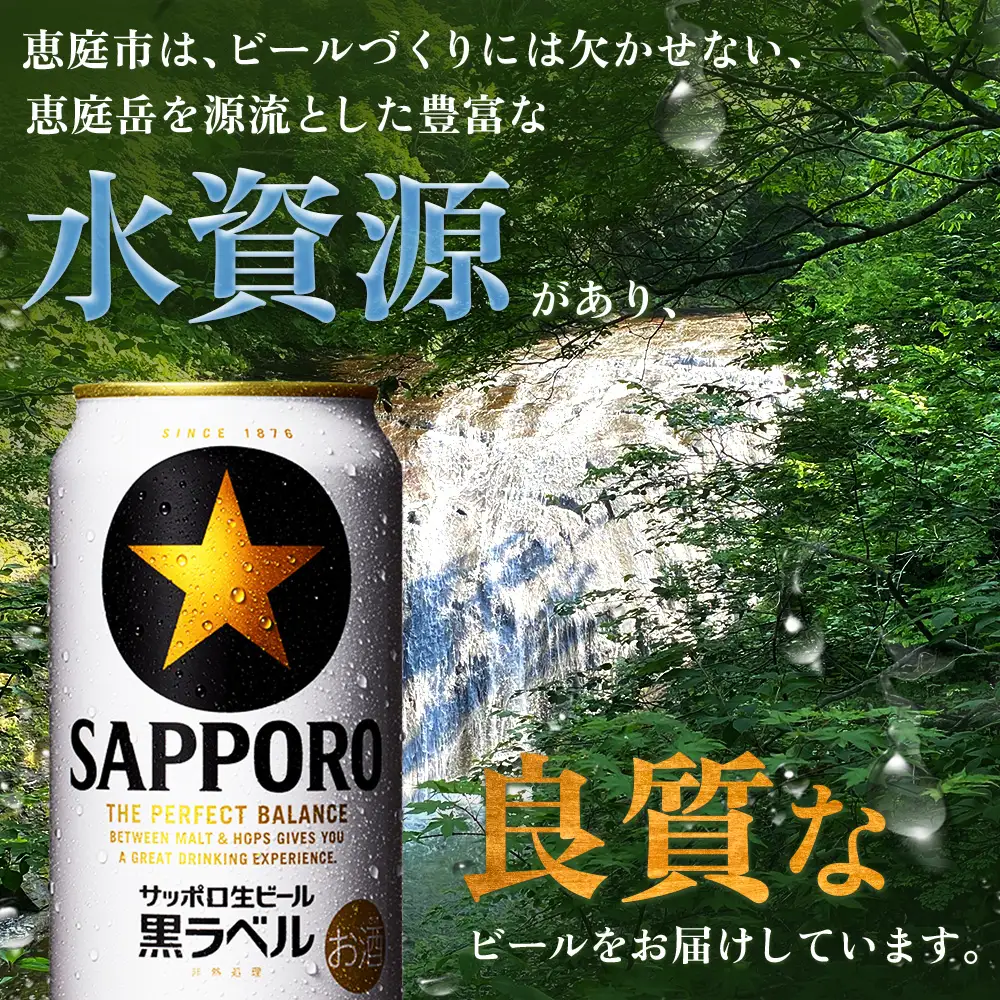 【定期便：全4回】サッポロ黒ラベル 350ml×24本【880040011904】