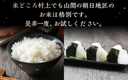 【令和7年産米】【3ヶ月定期便】村上市産 新之助 18kg （6kg×3ヶ月）コース 1027036