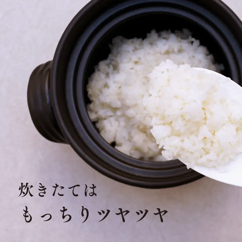 《令和8年度産 先行予約》【数量・期間限定】井野農園のひのひかり 米 ご飯 ごはん おにぎり 新米