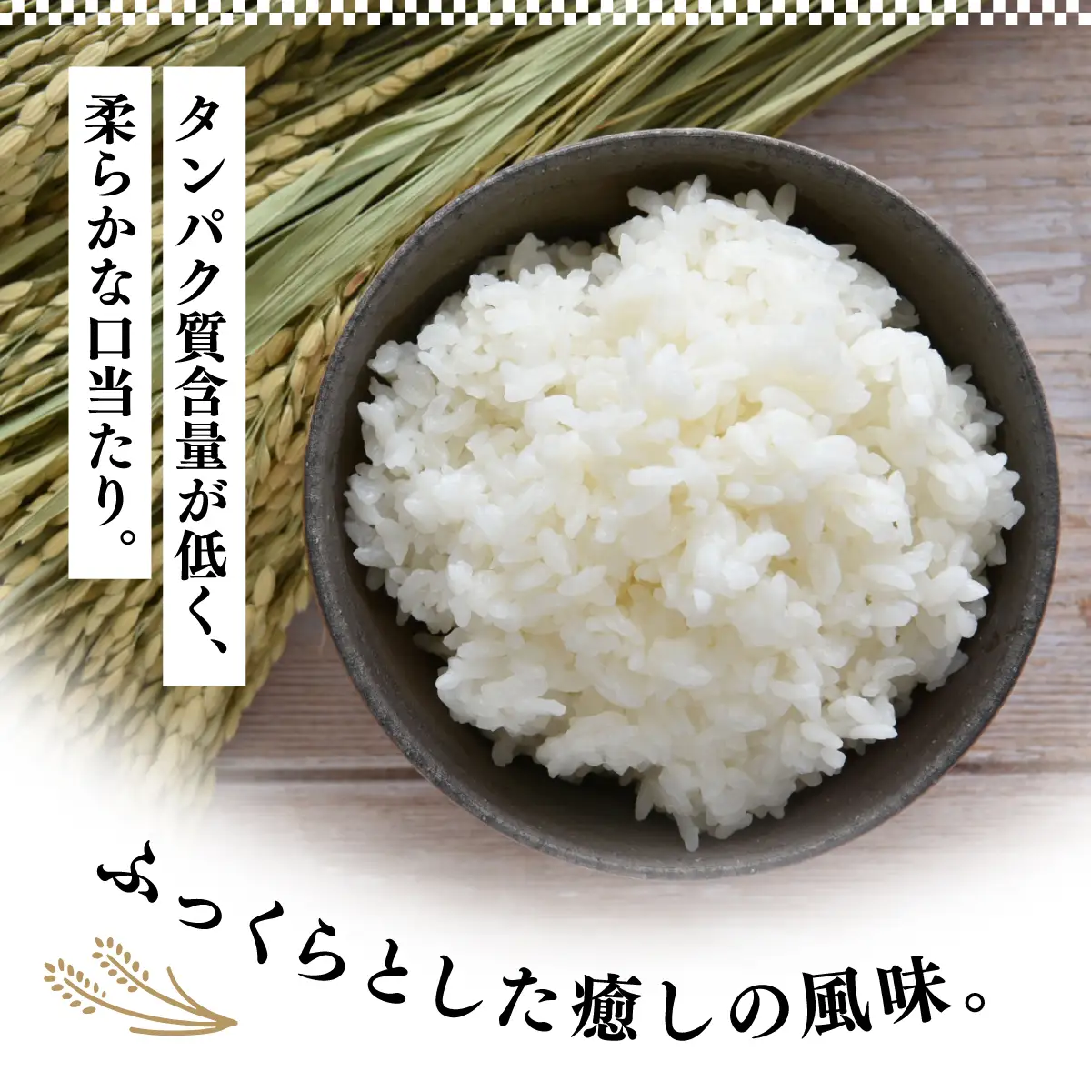 米 R7年産 彩のかがやき 5kg 2週間以内発送 | 米