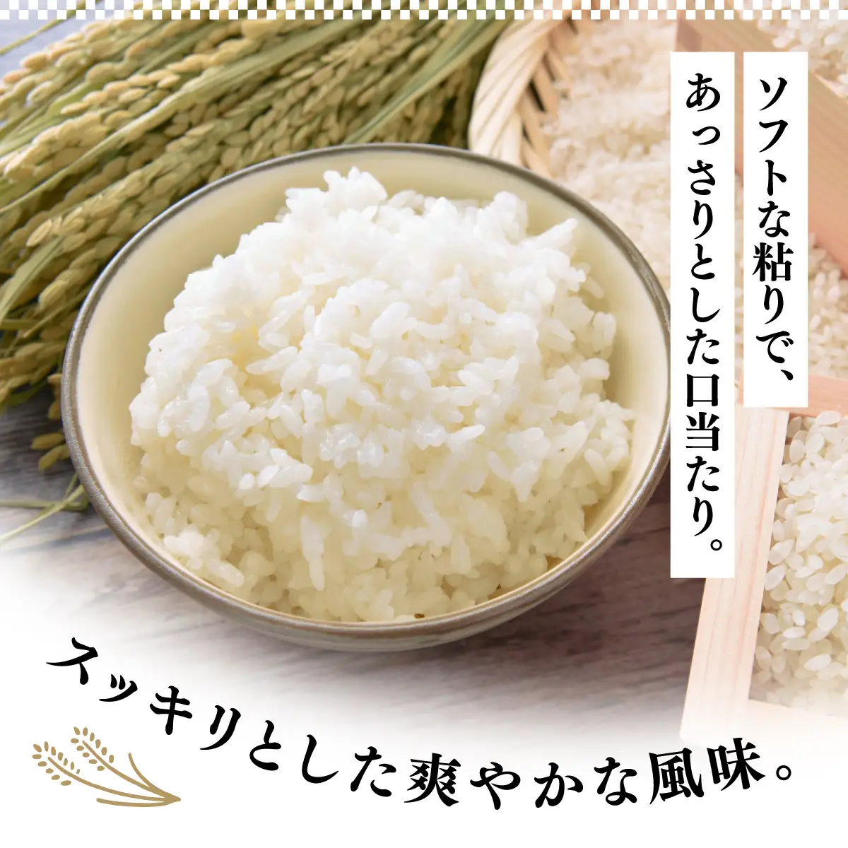米 R7年産 きぬひかり 5kg 2週間以内発送 | 米