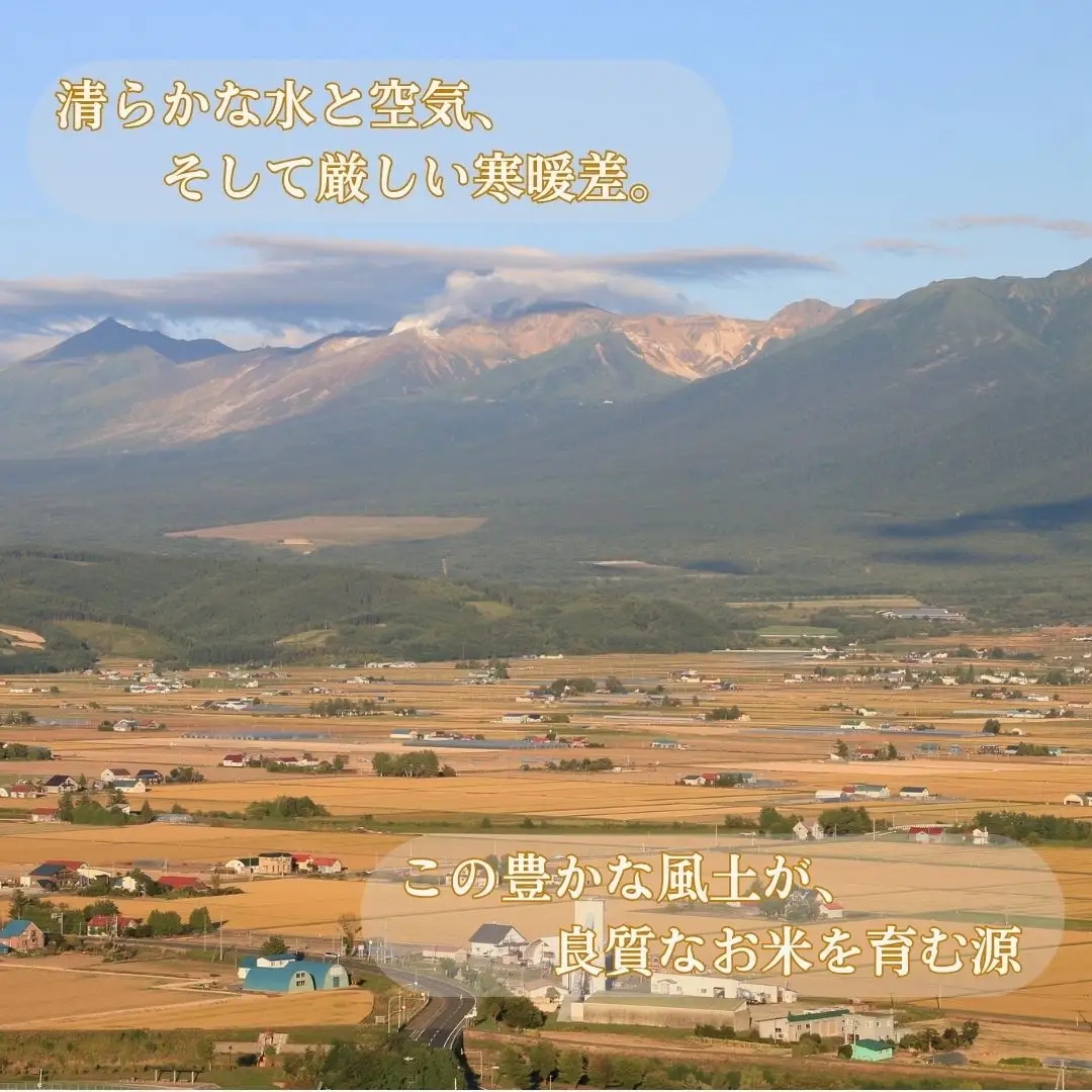 【令和８年産】北海道中富良野町産 ななつぼし精米１０kg【CD-018】