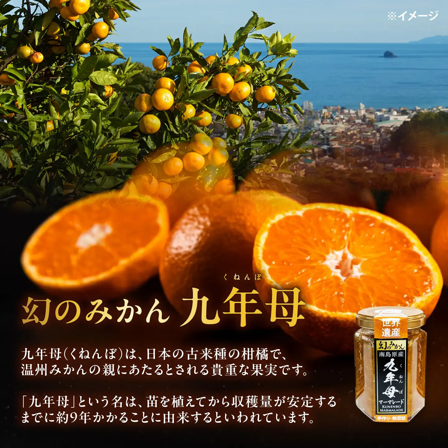 九年母 マーマレード ジャム 4本 / じゃむ みかん ミカン 蜜柑 まーまれーど / 南島原市 / 九年母を継承する会[SGT001]