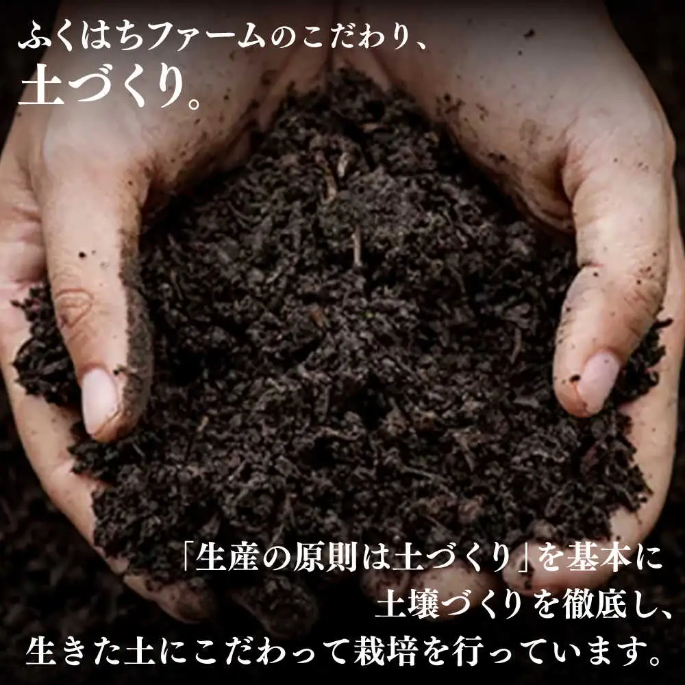【2027年6月-発送】【2回定期便】南島原の桃を食べ比べ 化粧箱入り 計2kg 日川白鳳 夢富士 あかつき なつっこ / 桃 もも ハウス桃 フルーツ 果物 / 南島原市 / ふくはちファーム[SBS001]