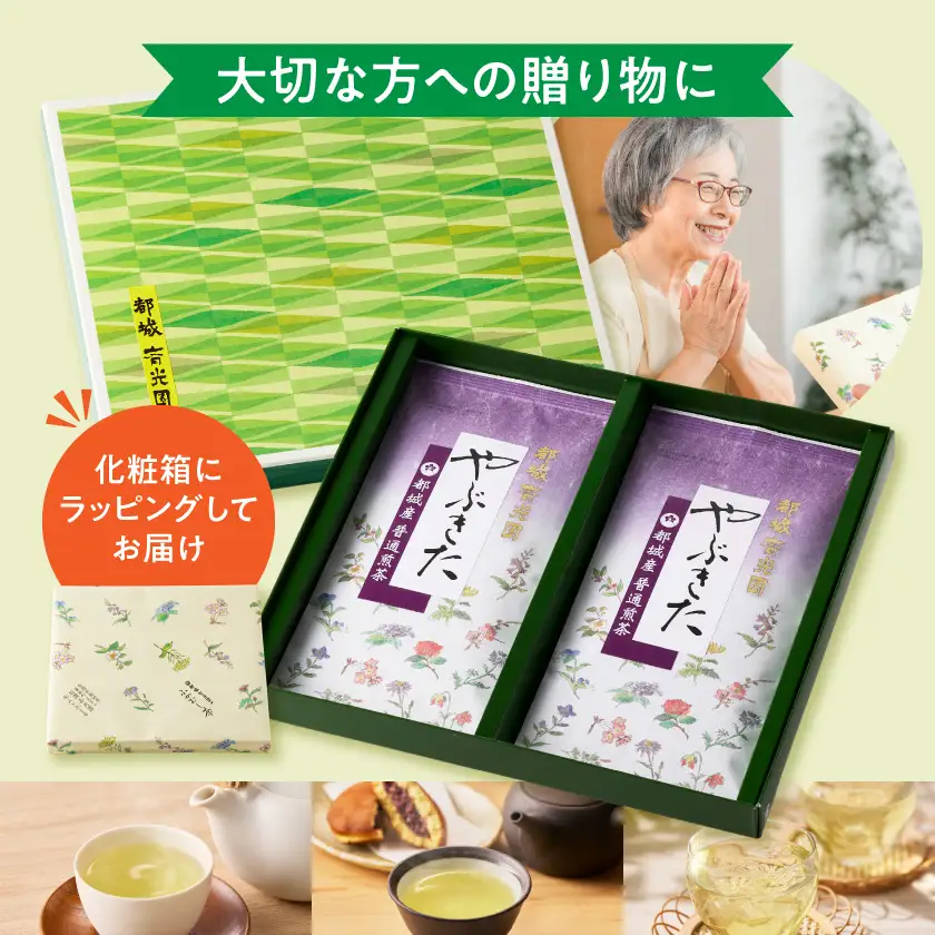 都城産のお茶「やぶきた」(煎茶)≪みやこんじょ快速便≫〔AA-C3-012-R〕_(都城市) 都城産 お茶 やぶきた 煎茶 茶葉 化粧箱 贈答品  茶圃斉光園 14日以内お届け
