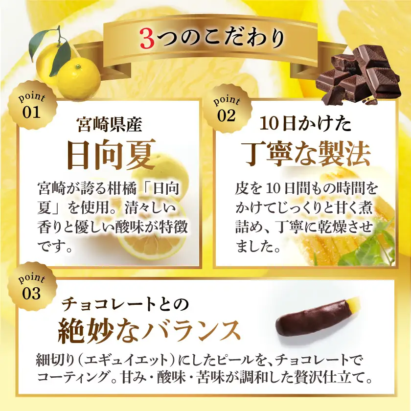 日向夏のエギュイエット〔LDK-C2-002〕_(都城市) 日向夏 エギュイエット チョコレート菓子 スイーツ 贈り物 2027年2月中にお届け