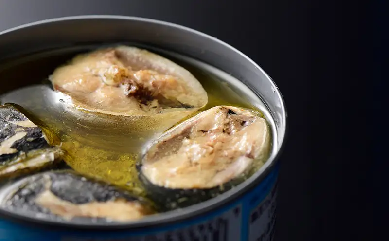 缶詰 銚子産 とろイワシ水煮 非常食 缶詰【24缶】