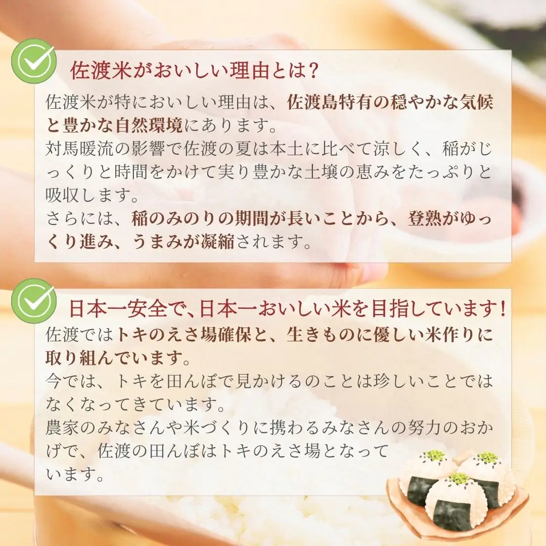 【先行予約 定期便 5kg 3回 コシヒカリ】白米 令和8年 | 新潟県 佐渡市 コシヒカリ