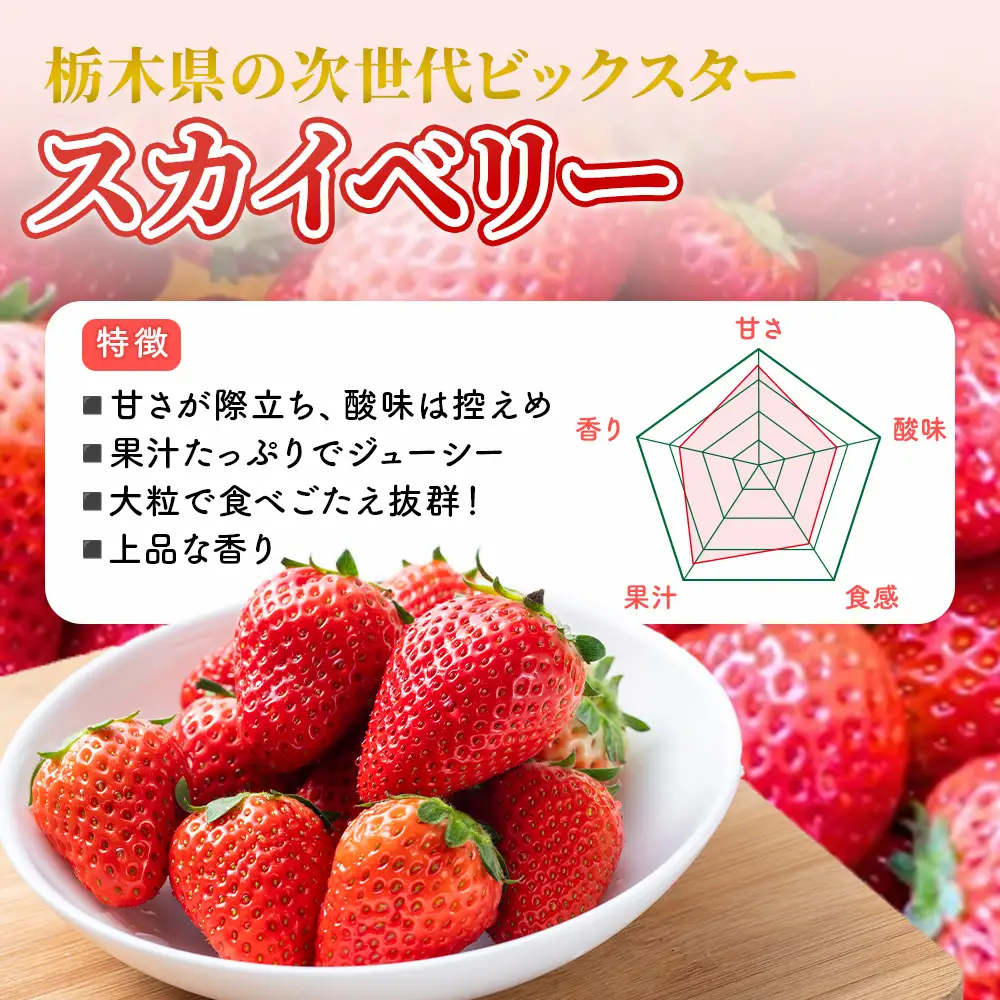 【先行予約】出会いの森いちご園 スカイベリー （290g×4パック） | いちご イチゴ 苺 栃木県 果物 くだもの フルーツ スカイベリー 新鮮 贈答 ギフト デザート スイーツ ※2026年12月～発送