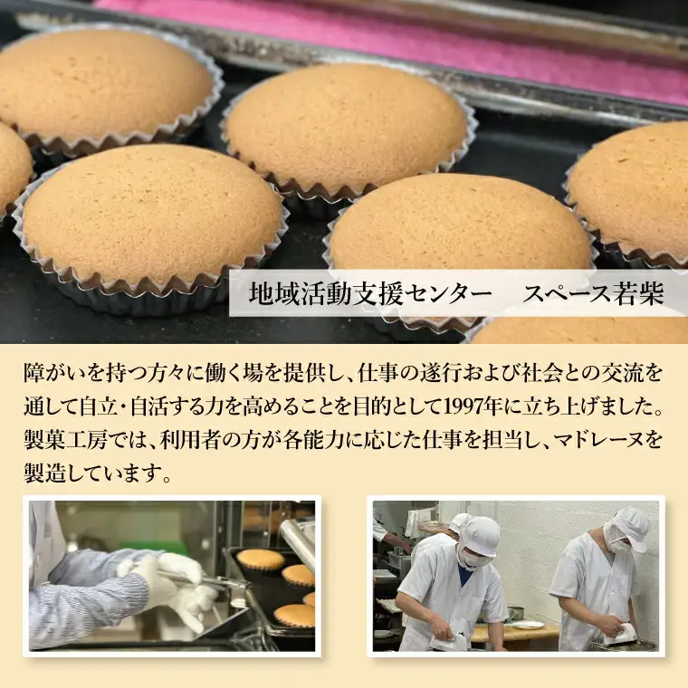 マドレーヌ 5種 個包装 洋菓子 焼菓子 マドレーヌ【5種 計20個】