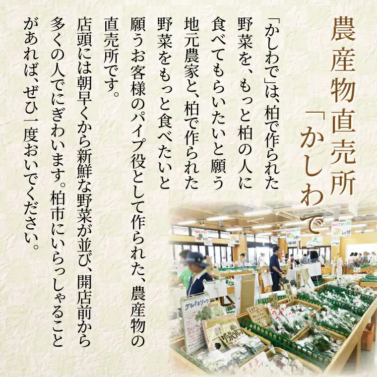 コシヒカリ 千葉県産 精米 コシヒカリ【10kg】