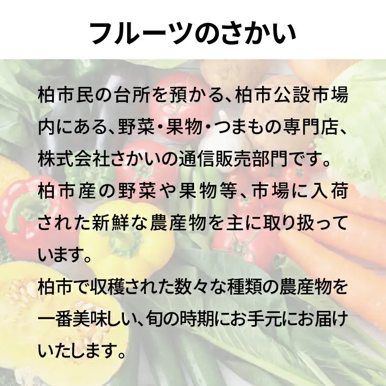 巨峰 訳あり 種なし 千葉県産 巨峰【4パック】【先行予約】