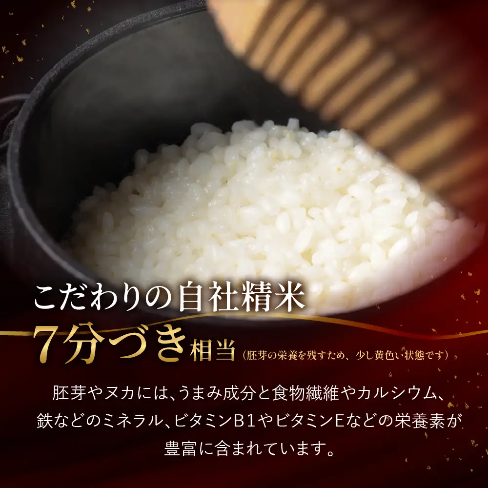先行予約【2026年産米】（2027年7月発送）2kg×1袋 飛騨産・龍の瞳(いのちの壱) 株式会社龍の瞳直送【14-1【7】】