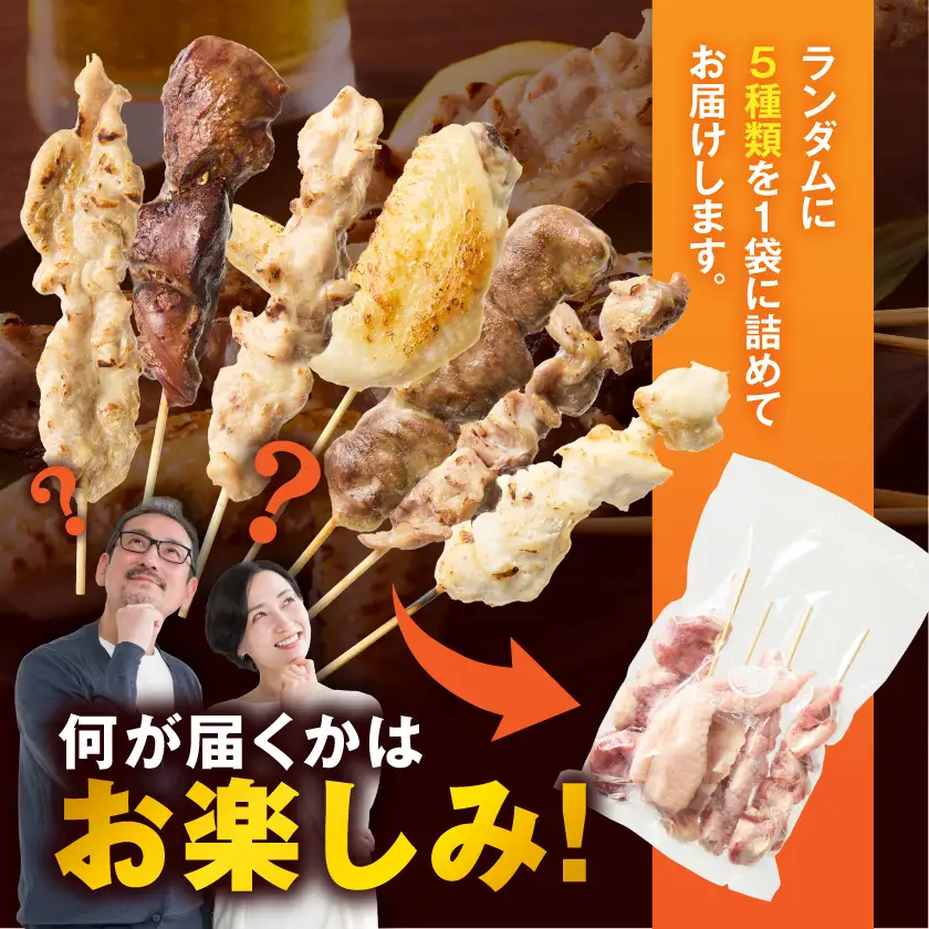 【たしろ屋】本格焼き鳥5パック(25本)〔LF-99-004-5〕_(都城市) 国産鶏 焼き鳥 冷凍生串・下味付 5種×5パック 簡単調理