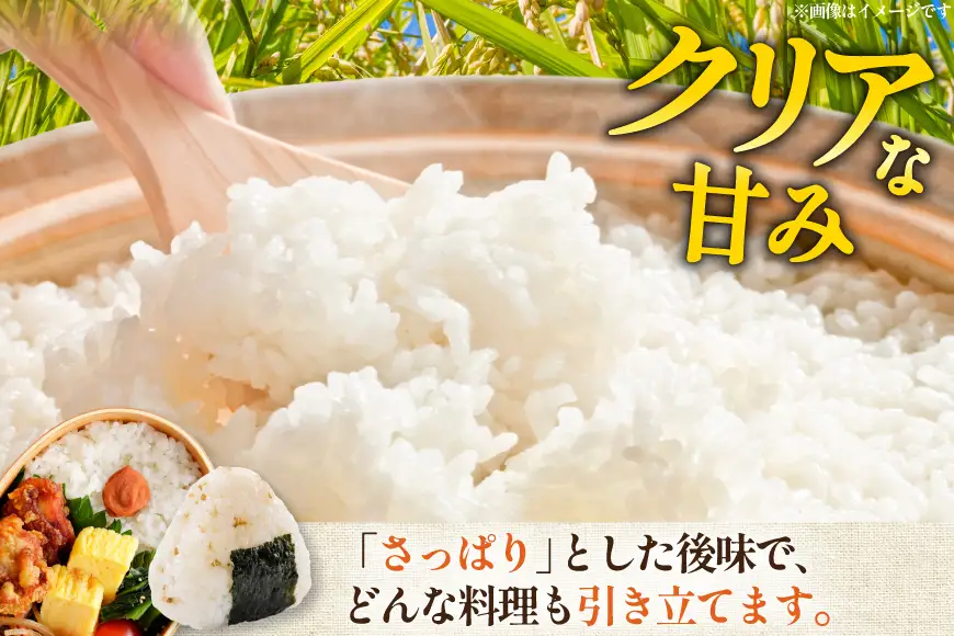 米 令和7年 ゆめみづほ 5kg 精米