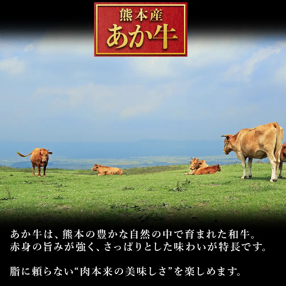 【ふるさと納税】熊本県産あか牛ローストビーフ 500g ローストビーフ ブロック 冷凍 お取り寄せ 熊本県 水上村