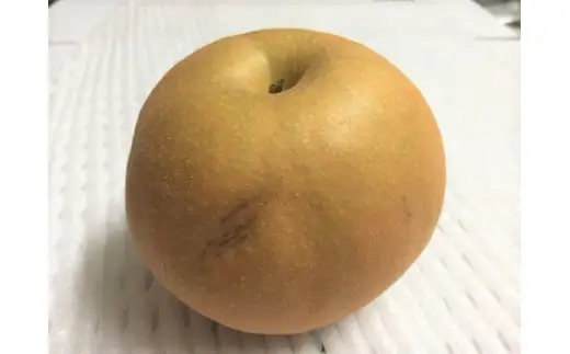 梨 南水 家庭用 3kg ( バラ詰め ) 松澤農園 沖縄県への配送不可 2026年9月下旬頃から2026年10月上旬頃まで順次発送予定 令和8年度収穫分 長野県 飯綱町 [1803]
