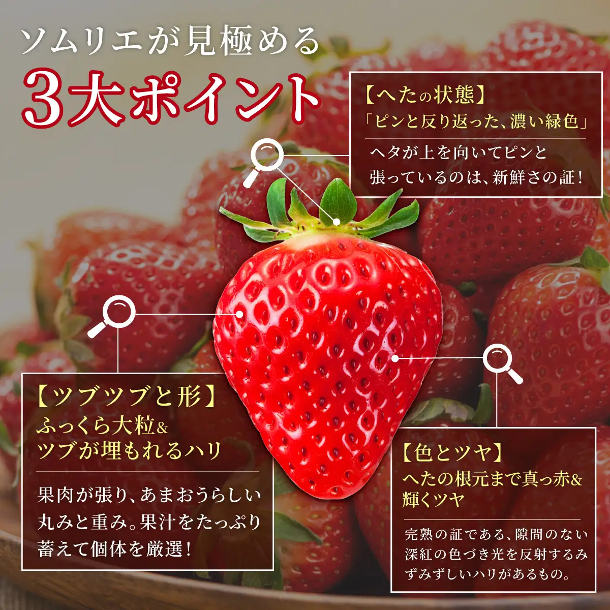 アフター保証対象！【先行予約】福岡産 春 あまおう 6パック（2月上旬より発送）|苺 いちご イチゴ 完熟 あかい まるい おおきい うまい フルーツ 果物 デザート 期間限定 産地直送 冷蔵 お取り寄せ グルメ 送料無料 福岡県 那珂川市
