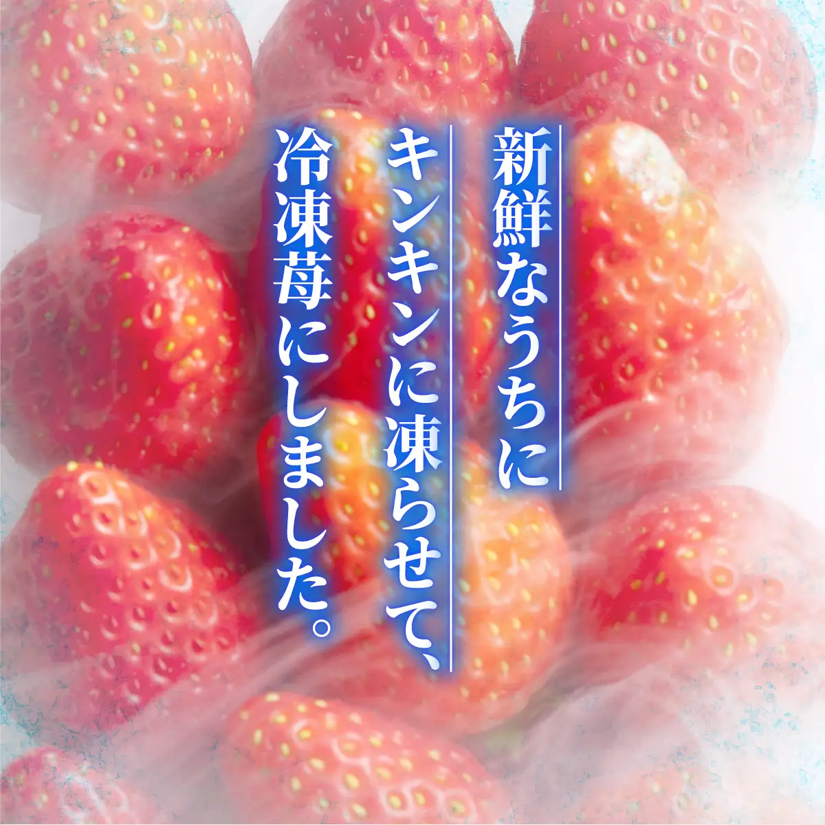 福岡産 冷凍 あまおう 1kg