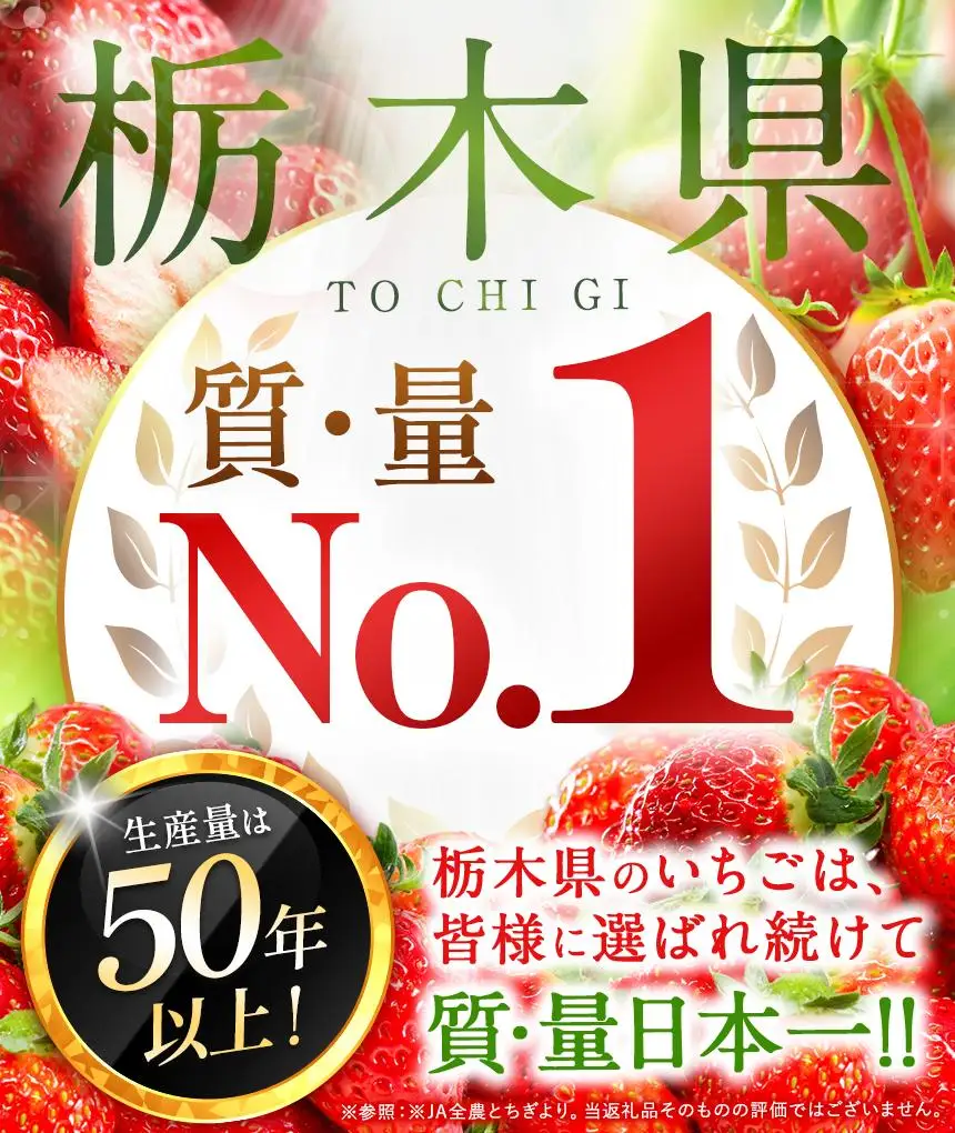 【定期便3回】いちご 2L以上 大粒 とちあいか1kg以上【2027年先行予約】 | 苺 イチゴ 栃木県共通返礼品 真岡市産 栃木県矢板市