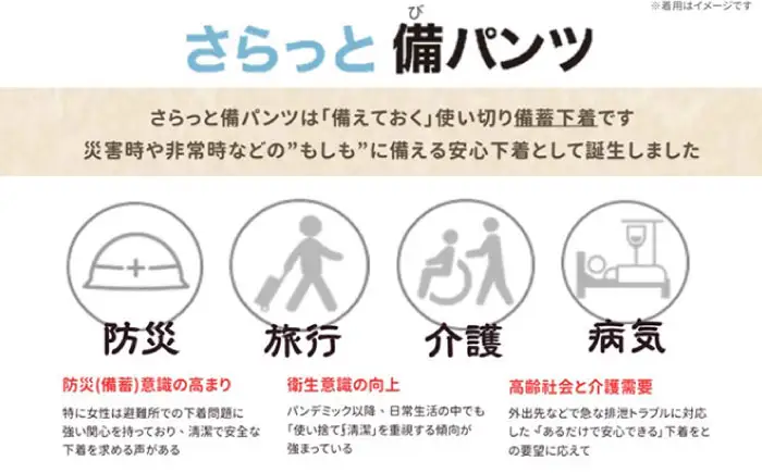 さらっと備パンツ 10セット 【レディース用 サイズ：Ｌ】 防災 災害 防災グッズ ショーツ 岐阜市 /ビック宮田[ANEA014]