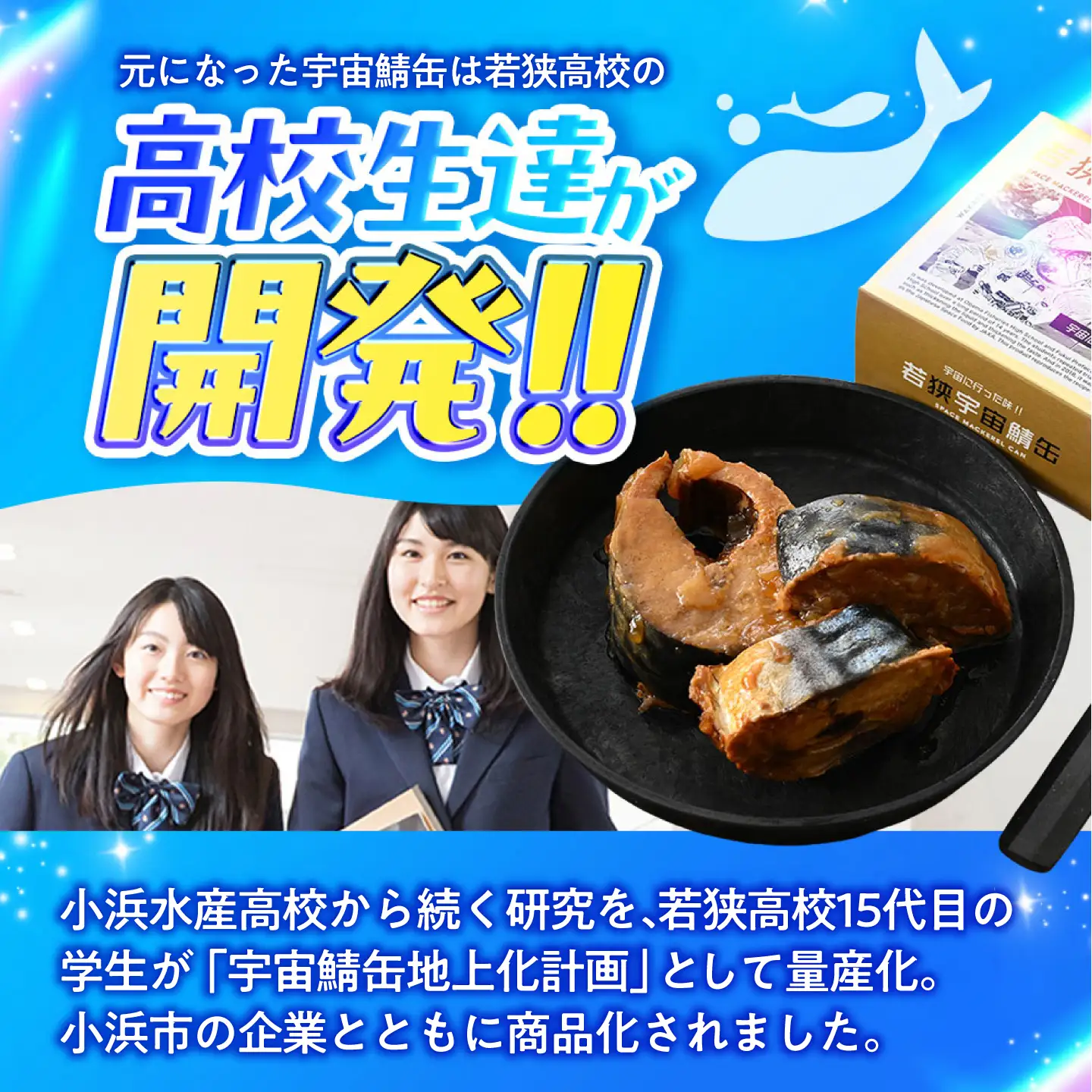 若狭宇宙鯖缶＆強健サバ缶アマニ油入り 食べ比べ8缶セット / サバ缶 鯖缶 宇宙日本食 アマニ油 オメガ3 保存食 小浜市 / 福井缶詰[BFAB081]