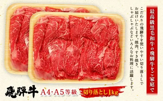 飛騨牛 切り落とし 1kg （ A5 ・ A4等級 ） 