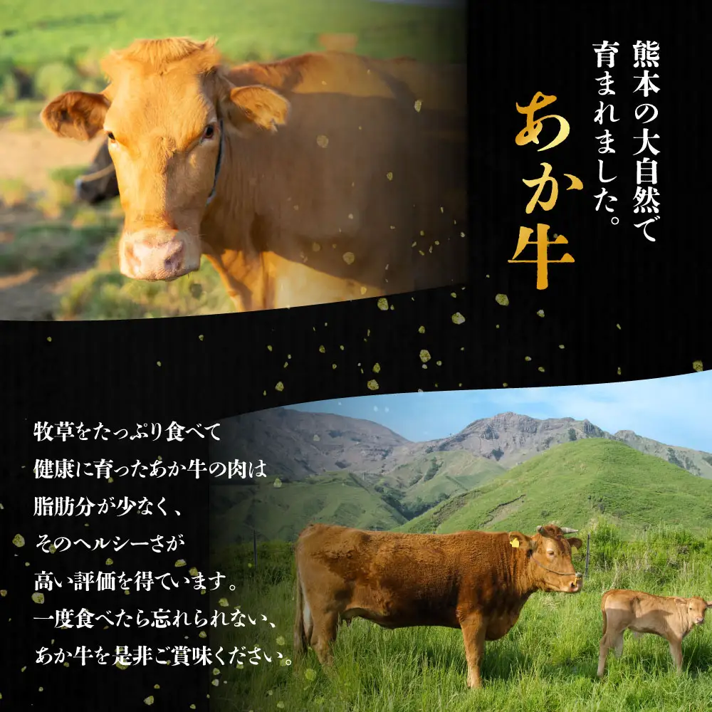 【三協畜産】熊本和牛あか牛肩ロース（すき焼き･しゃぶしゃぶ用）500g  あか牛 牛肉 国産 冷凍 阿蘇市