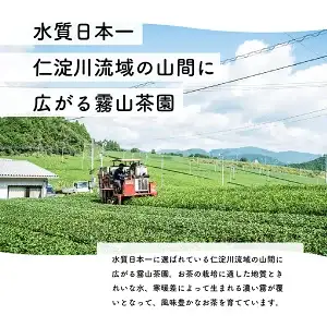 土佐霧山茶 棒ほうじ茶 40g｜棒ほうじ茶 高知県産 日本茶 土佐茶 プレゼント 茶葉 水出し