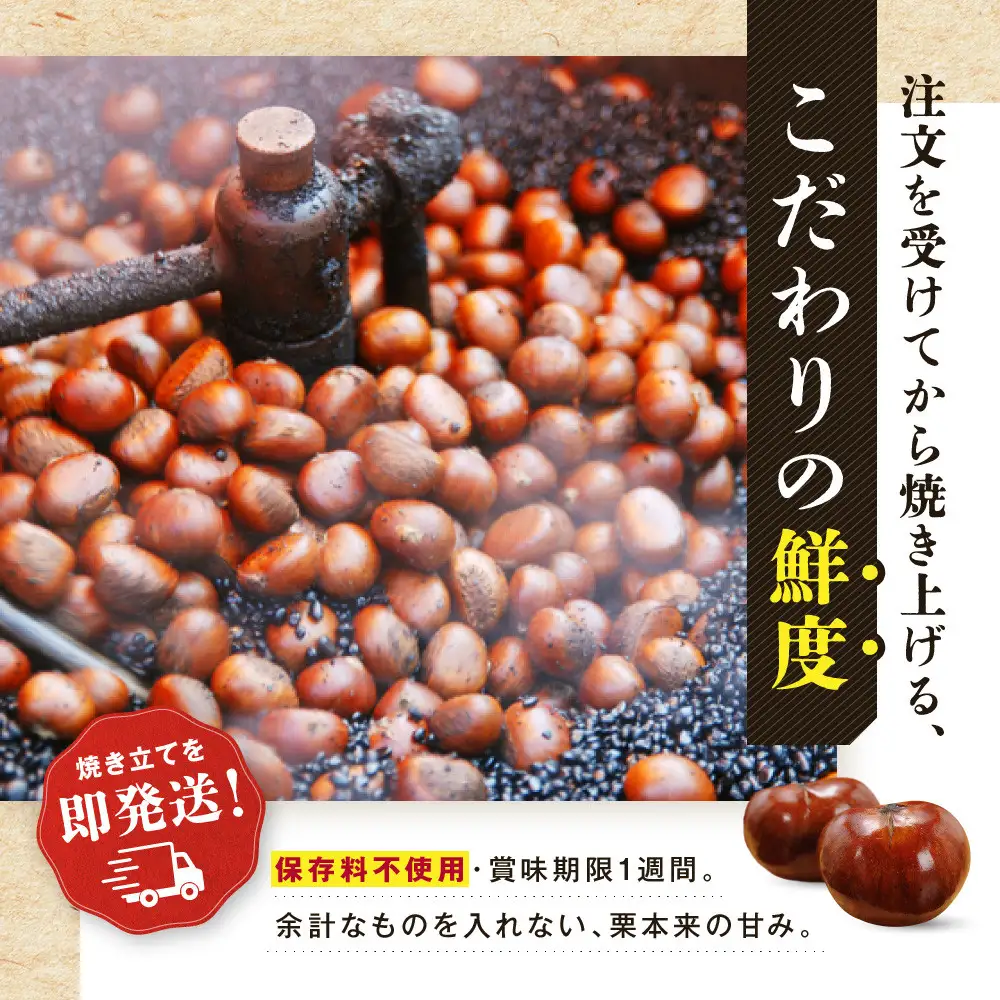 【先行予約】無添加 大粒天津甘栗 7kg 2026年10月下旬より順次発送 【沖縄県・離島配送不可】