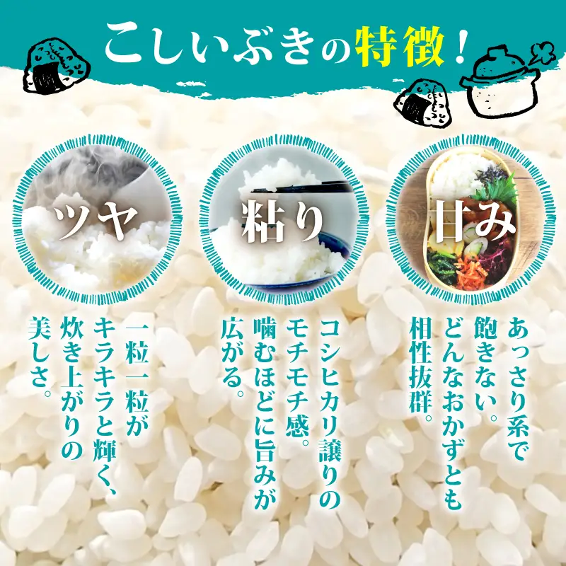 【令和8年産 先行予約】 こしいぶき 定期便 10kg 5kg×2袋 3か月 新潟県産 新発田産 3回 3カ月 新潟 ふるさと納税 米 お米 白米 米 お米 こめ コメ ライス ご飯 ごはん 美味しい 贈り物 国産 新潟県 新発田市 お取り寄せ 産地直送 アグリ中俵 nakatawaraKI003_2