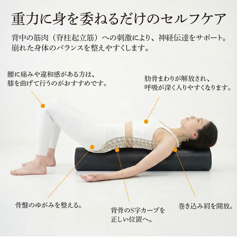 【エクササイズポール】 EPP ストレッチ トレーニング 