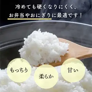 ＜数量限定＞【令和8年産】【超早場米】 低アミロース 米『 ぴかまる 』10kg（5kg×2）_K028-003-R8