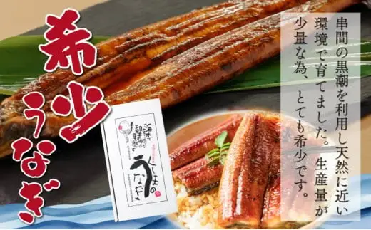 くしまの黒潮うなぎ蒲焼小4尾（合計560g前後）_K023-006