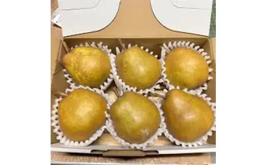 《2026年11月発送開始》山形県産ラ・フランス ゴールド 特秀品 約2kg 玉数おまかせ ラフランス 果物 秋果実 フルーツ 洋ナシ 洋なし くだもの F4A-1032