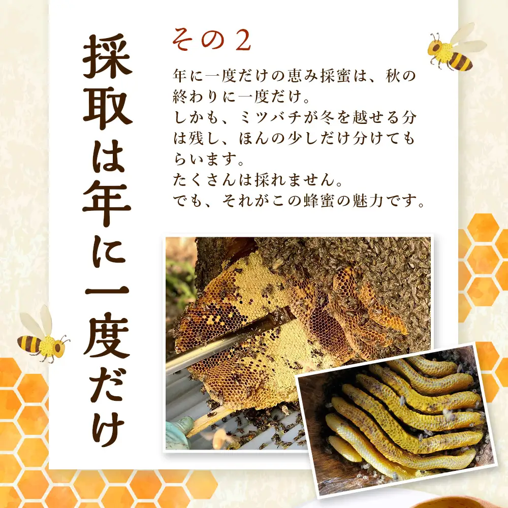 はちみつ 山の蜜 400g×1本 冷蔵｜国産 蜂蜜 百花蜜 ニホンミツバチ 希少 自然養蜂 瓶 もろっこはうす 宮崎県 諸塚村 MO-02