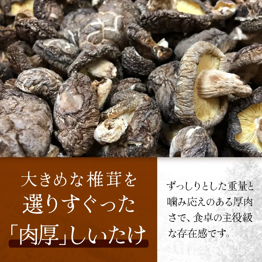 【世界初CoC認証取得！】宮崎県諸塚村産 乾しいたけ 肉厚 60g×3P 計180g 常温｜干ししいたけ どんこ 椎茸 冬菇 肉厚 お煮しめ お鍋 網焼き 原木栽培 CoC認証 高級 もろっこはうす MO-22