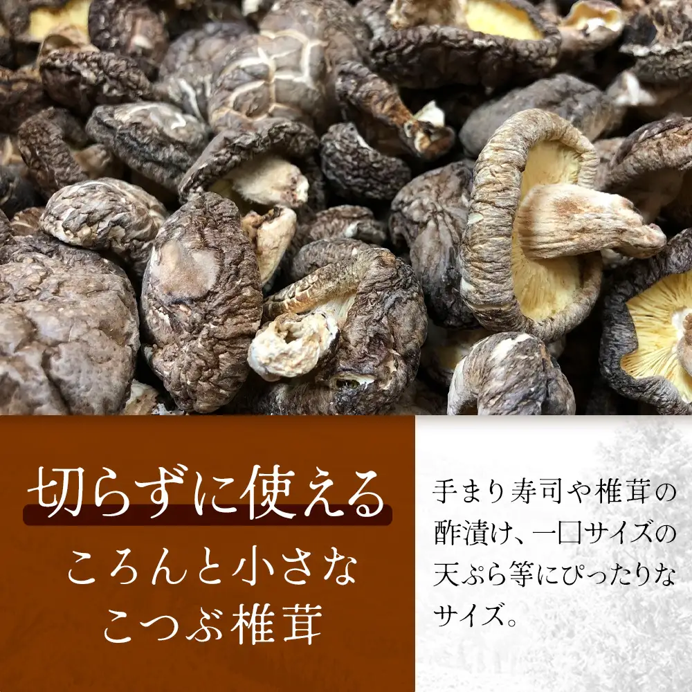 【世界初CoC認証取得！】宮崎県諸塚村産 乾しいたけ こつぶ 40g×6P 計240g 常温｜干ししいたけ どんこ 椎茸 冬菇 酢漬け 手まり寿司 天ぷら 一口サイズ 原木栽培 家庭用 もろっこはうす MO-25