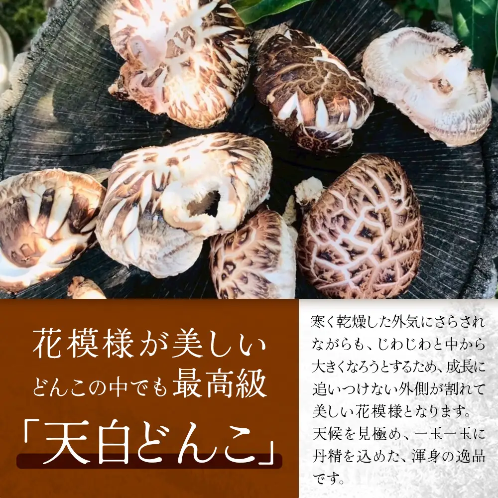 宮崎県諸塚村産 天白どんこ 約300g 化粧箱入り 常温｜干ししいたけ 椎茸 冬菇 肉厚 お煮しめ お鍋 網焼き 原木栽培 CoC認証 高級 希少 もろっこはうす MO-28