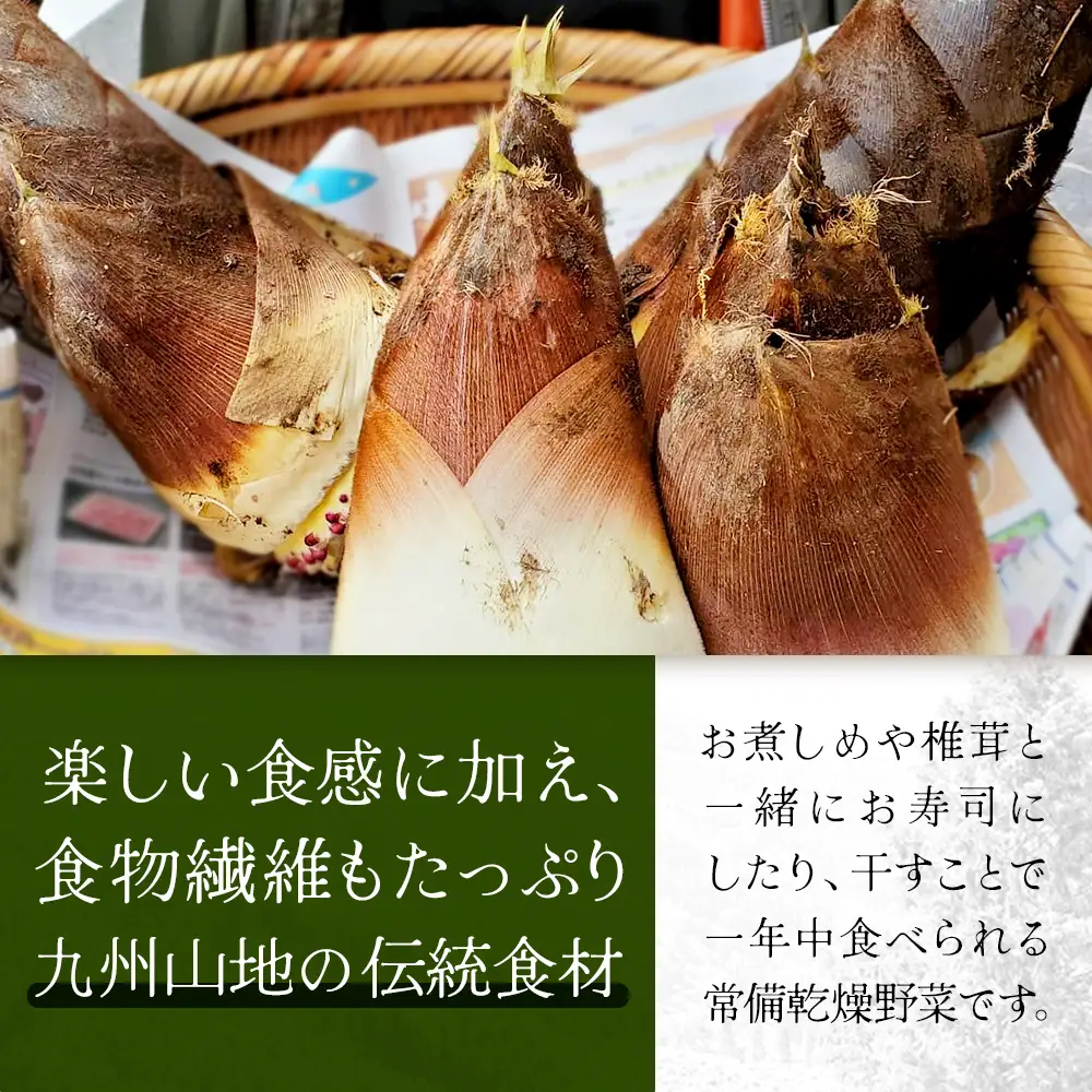 乾竹の子 50g×3P 計150g 常温｜竹の子 タケノコ 乾燥たけのこ 自然食材 乾燥野菜 煮しめ きんぴら 炊き込みご飯 食物繊維 常備菜 もろっこはうす 宮崎県 諸塚村 MO-33