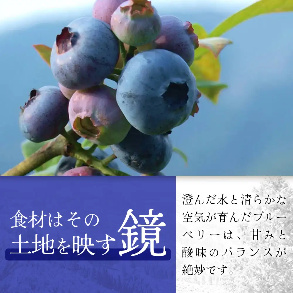 【数量限定】諸塚村産 冷凍ブルーベリー 約1kg｜ブルーベリー 果物 フルーツ 産地直送 スムージー ヨーグルト もろっこはうす 宮崎県 諸塚村 MO-34